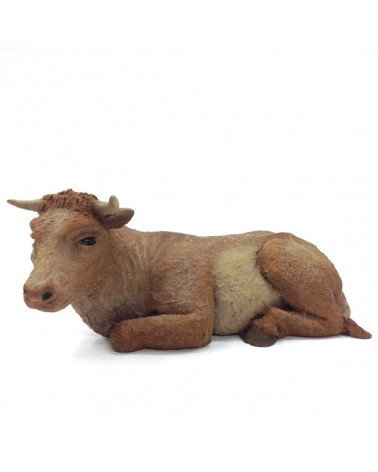 Ox 19-23 cm.