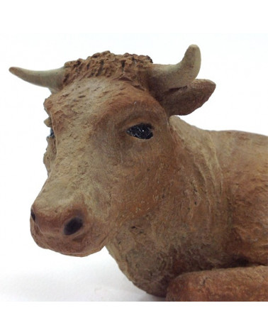 Ox 19-23 cm.