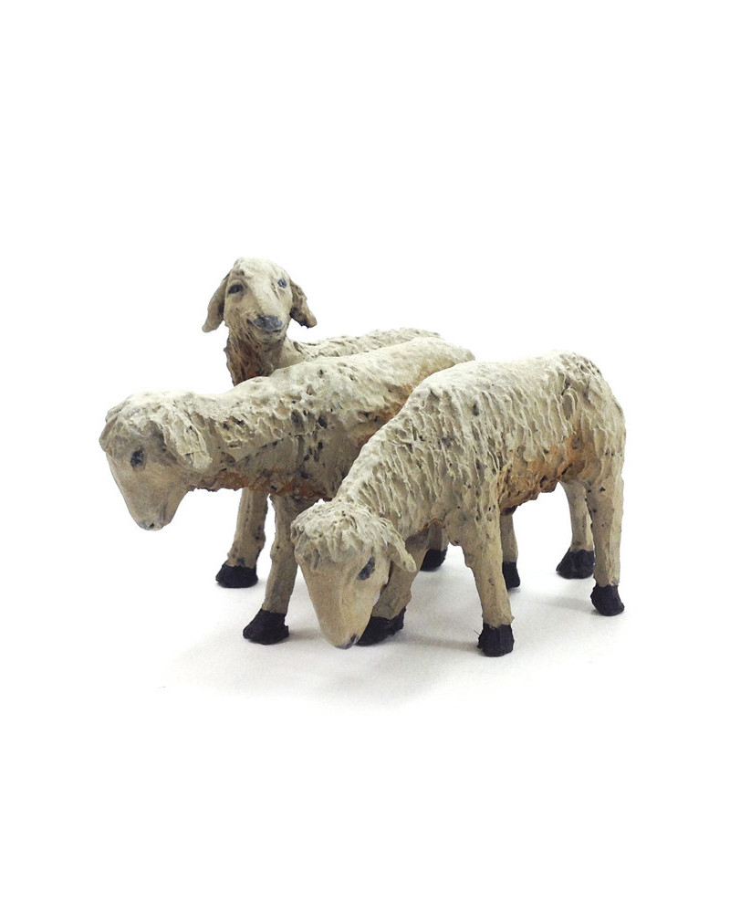 Three lambs group 16-18 cm.