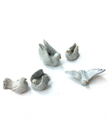 Five pigeons 