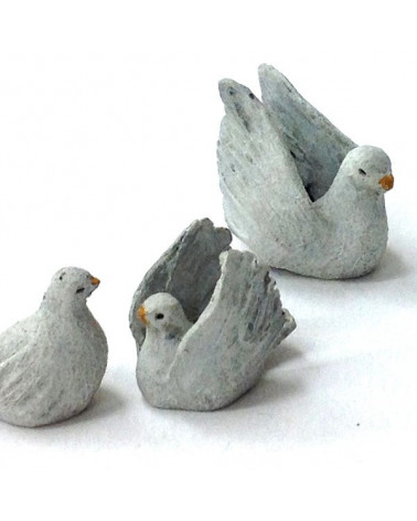Five pigeons 