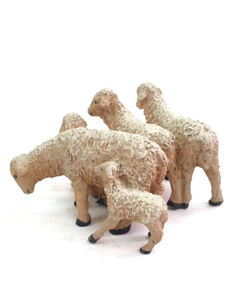 Five sheeps