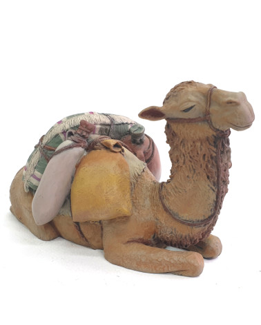 Camello de carga