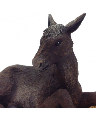 Mule 11-12 cm.