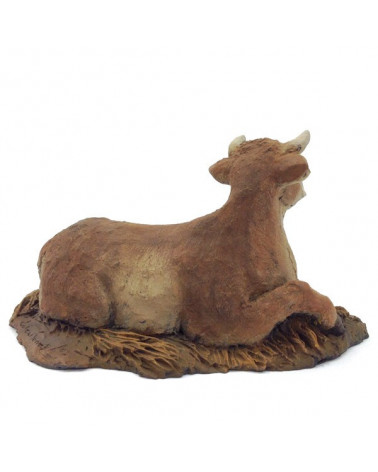 Ox 15-17 cm.