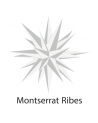 Montserrat Ribes